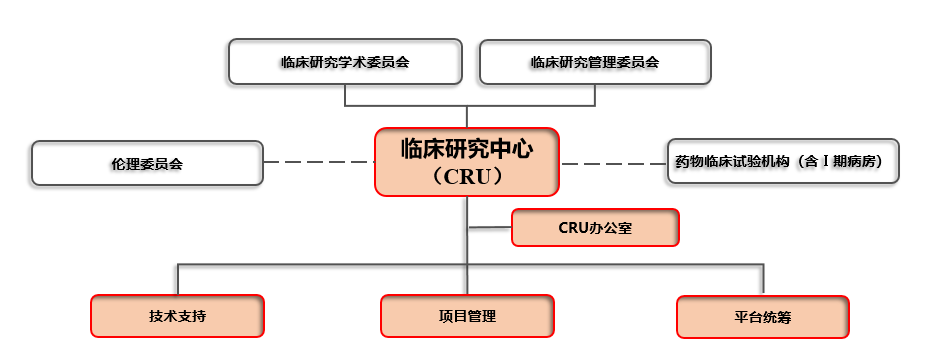 CRU组织架构（示意图）