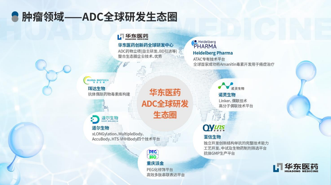 华东医药首 个自主研发ADC项目HDM2005，拟开发用于晚期实体瘤和血液瘤治疗，已于2024年3月递交中国IND申请获受理。