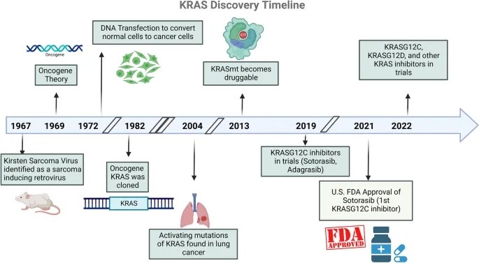 图1 KRAS药物开发里程碑