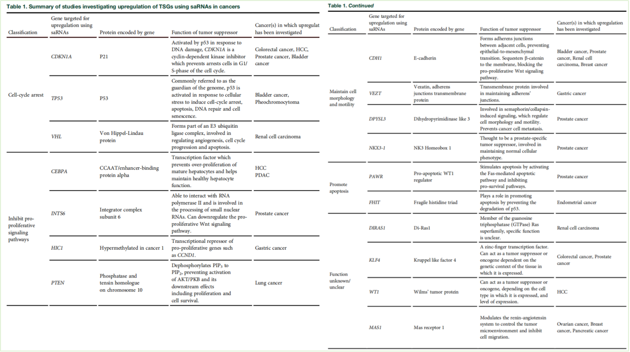 全球范围开发的saRNA相关肿瘤靶点进展（文献举例）