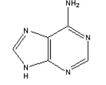 腺嘌呤