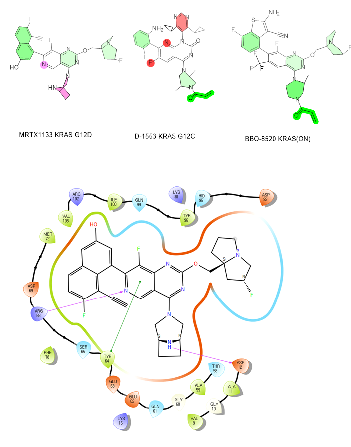 KRAS在研抑制剂MRTX1133和D1553以及BBO-8520的结构比较