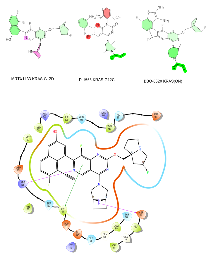 AACR 2024：KRAS抑制剂最新进展_CPHI制药在线