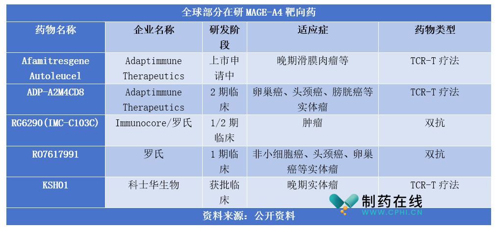 MAGE-A4靶向药进展