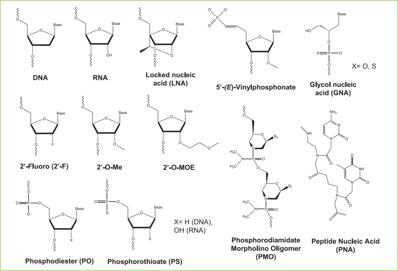 寡核苷酸治療藥物的化學(xué)修飾