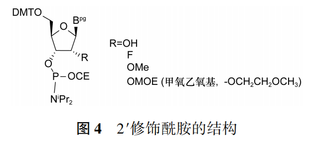 修飾的核苷亞磷酰胺(簡稱2′修飾酰胺)