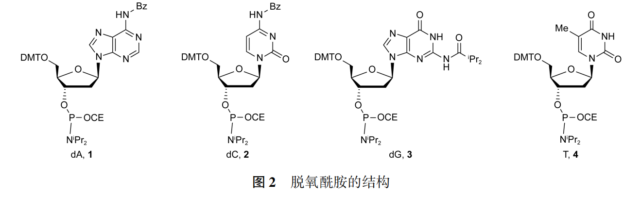 脫氧核苷亞磷酰胺(簡稱脫氧酰胺)