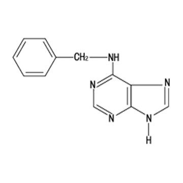 苄氨基嘌呤