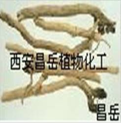 板蓝根提取物