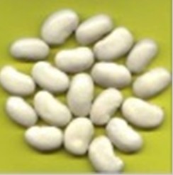 白芸豆产品图片