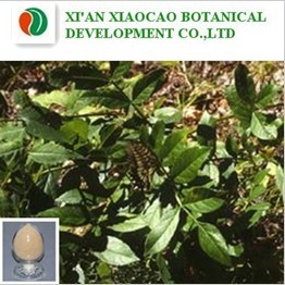 白鲜皮提取物