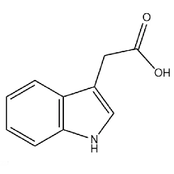 吲哚乙酸