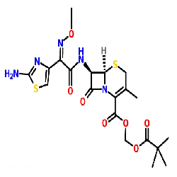 頭孢菌素類(lèi)