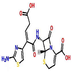 頭孢菌素類(lèi)