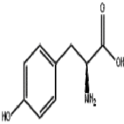 L-酪氨酸
