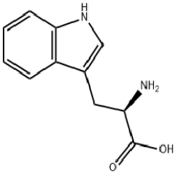 D-色氨酸产品图片