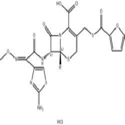 头孢菌素类