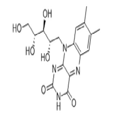 维生素B2