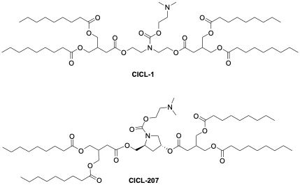 CICL-1及CICL-207結(jié)構(gòu)示意圖