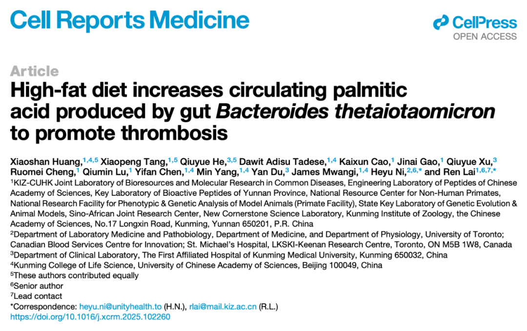 2025 年 7 月 31 日，中國科學院昆明動物研究所賴仞團隊在 Cell 子刊 Cell Reports Medicine 上發(fā)表了題為：High-fat diet increases circulating palmitic acid produced by gut Bacteroides thetaiotaomicron to promote thrombosis 的研究論文。