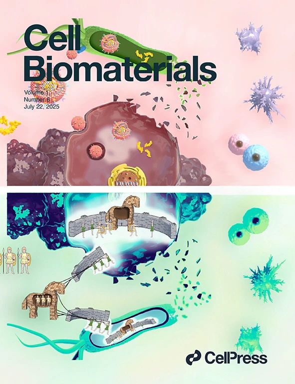 復旦大學附屬腫瘤醫(yī)院馬延磊團隊在 Cell 子刊 Cell Biomaterials 上發(fā)表了題為：Biomimetic “Trojan Horse” nanoparticles with biotactic behavior toward tumor-associated bacteria for targeted therapy of colorectal cancer 的研究論文，該論文還被選為當期的封面論文。