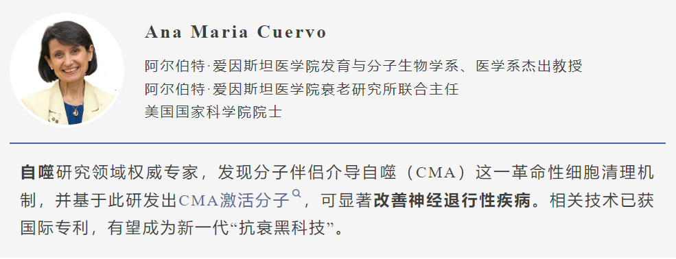 332c39f80a7790f7ac2d62a148e5102.png