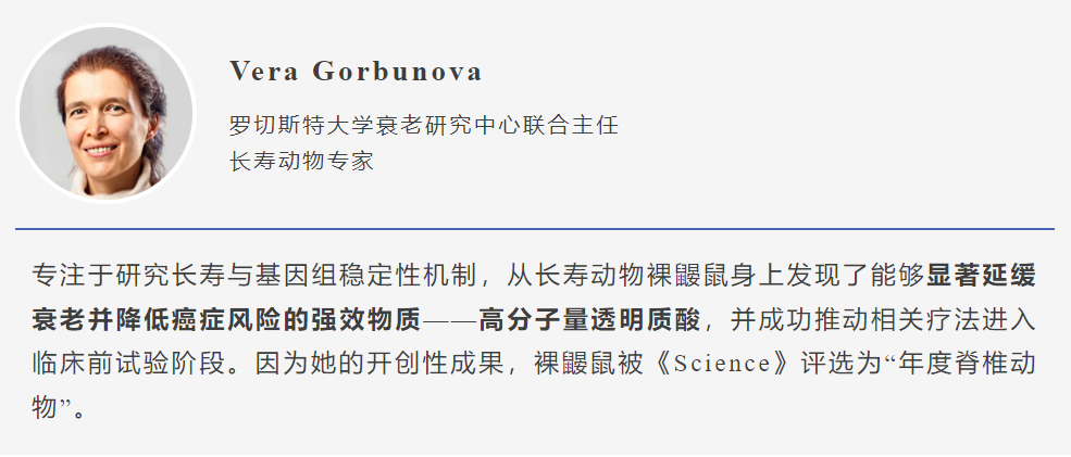 25d040b51b5bd018b307b8606e8846b.png