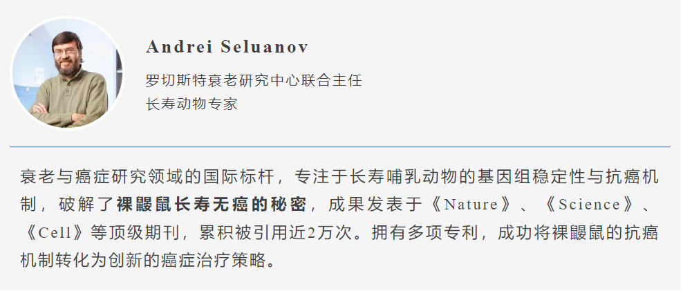 526d956fd418d8afffdcf8b5b2a4b64.png