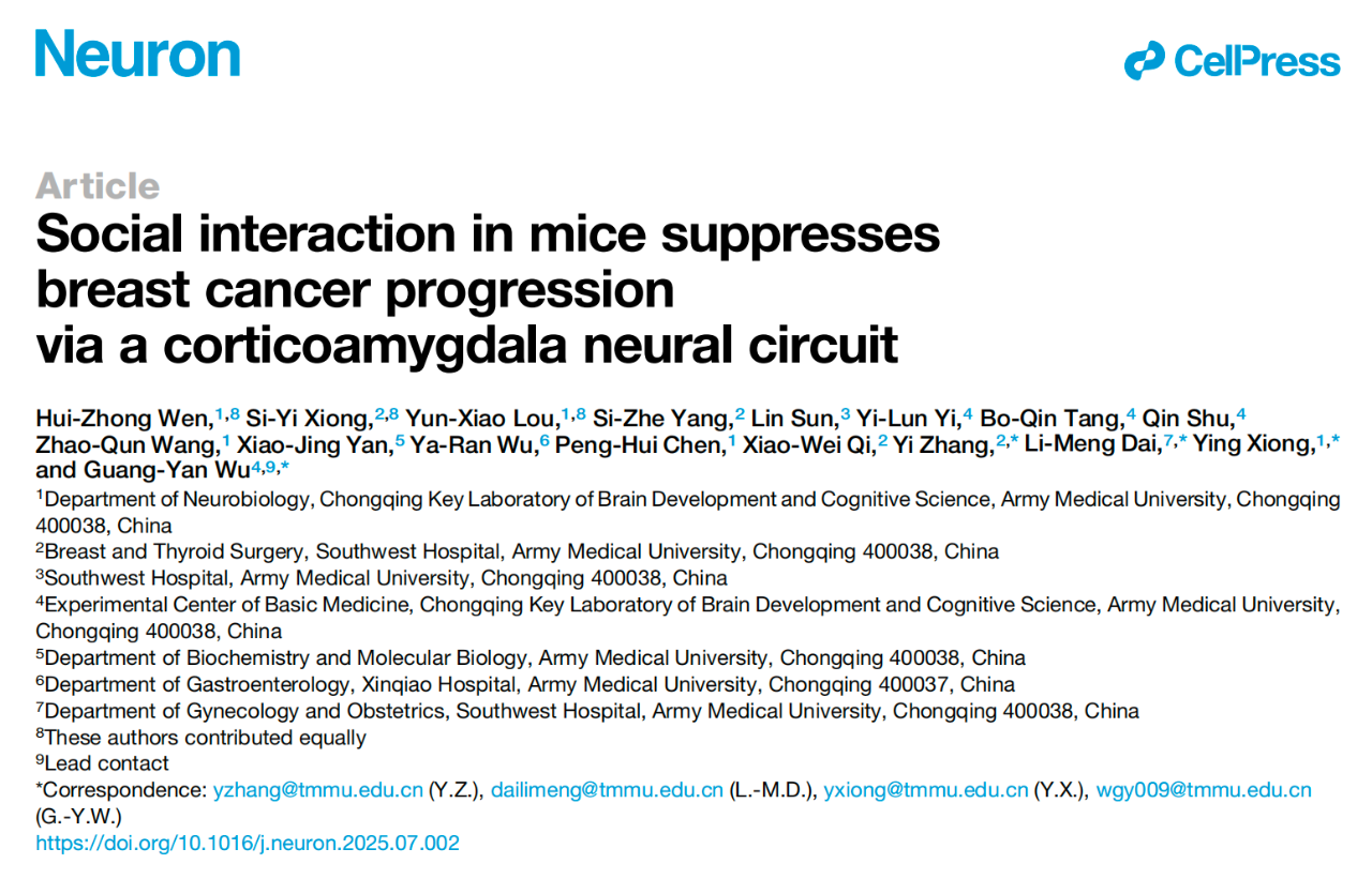 該論文題為：Social interaction in mice suppresses breast cancer progression via a corticoamygdala neural circuit（小鼠的社會(huì)互動(dòng)通過(guò)皮質(zhì)杏仁核神經(jīng)回路抑制乳腺癌的進(jìn)展），論文通訊作者為吳廣延、熊鷹、戴禮猛、張毅，陸軍軍醫(yī)大學(xué)為論文第一單位。