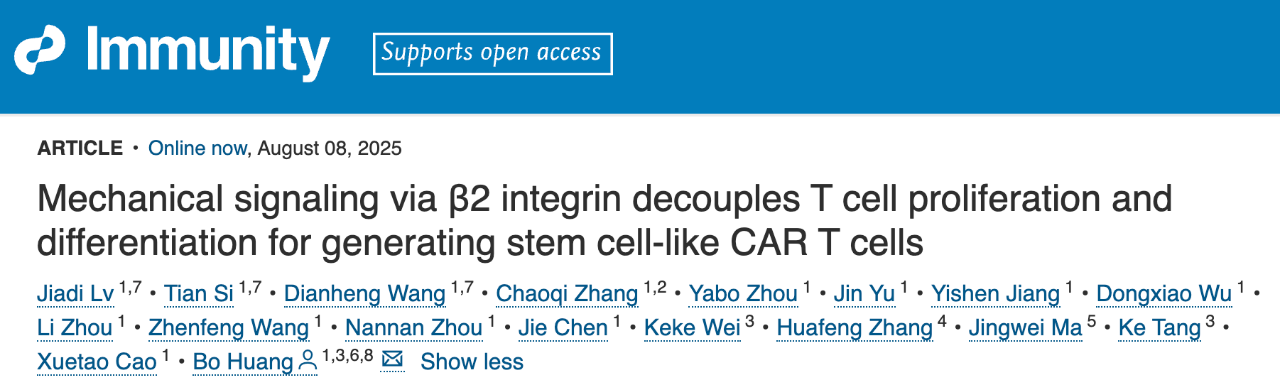 2025 年 8 月 8 日以：Mechanical signaling via β2 integrin decouples T cell proliferation and differentiation for generating stem cell-like CAR T cells 為題，發(fā)表在了 Immunity 期刊