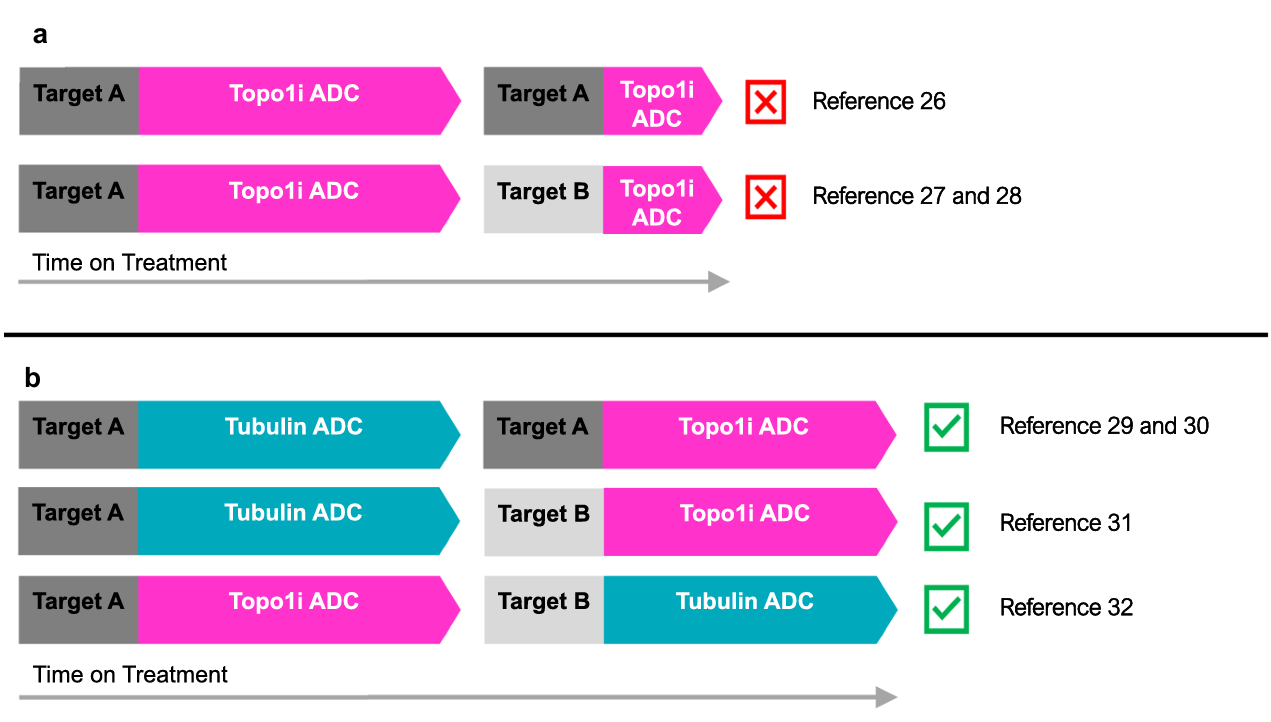ADC 序貫治療對療效的影響。（a）同一機制 ADC 的交叉耐藥導(dǎo)致療效下降；（b）切換不同機制 ADC 可維持療效