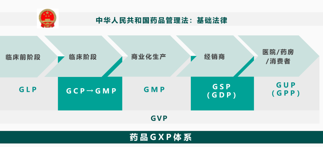 藥品GXP體系示意圖