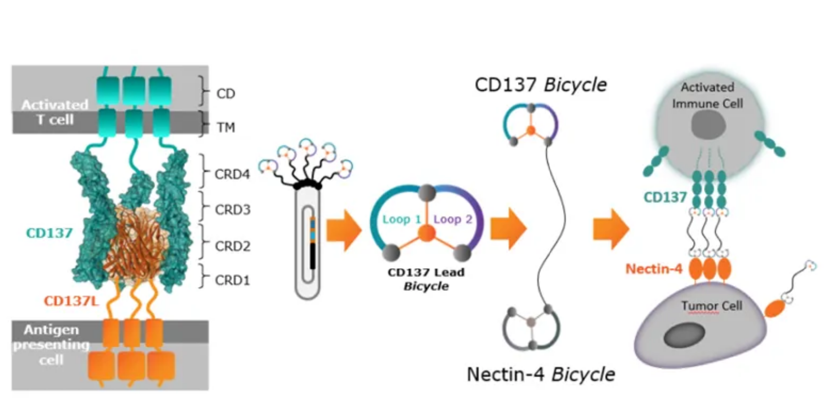 CD7480設(shè)計思路。