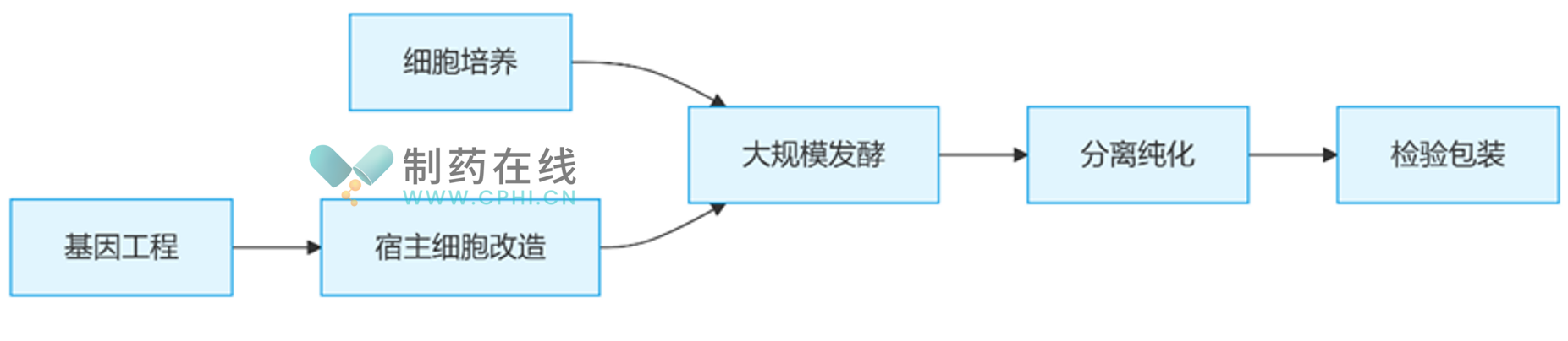 生物制藥制劑生產(chǎn)工藝流程（圖片來源：作者繪制）