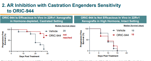  AR Inhibition with Castration Engenders Sensitivityto ORIC-944