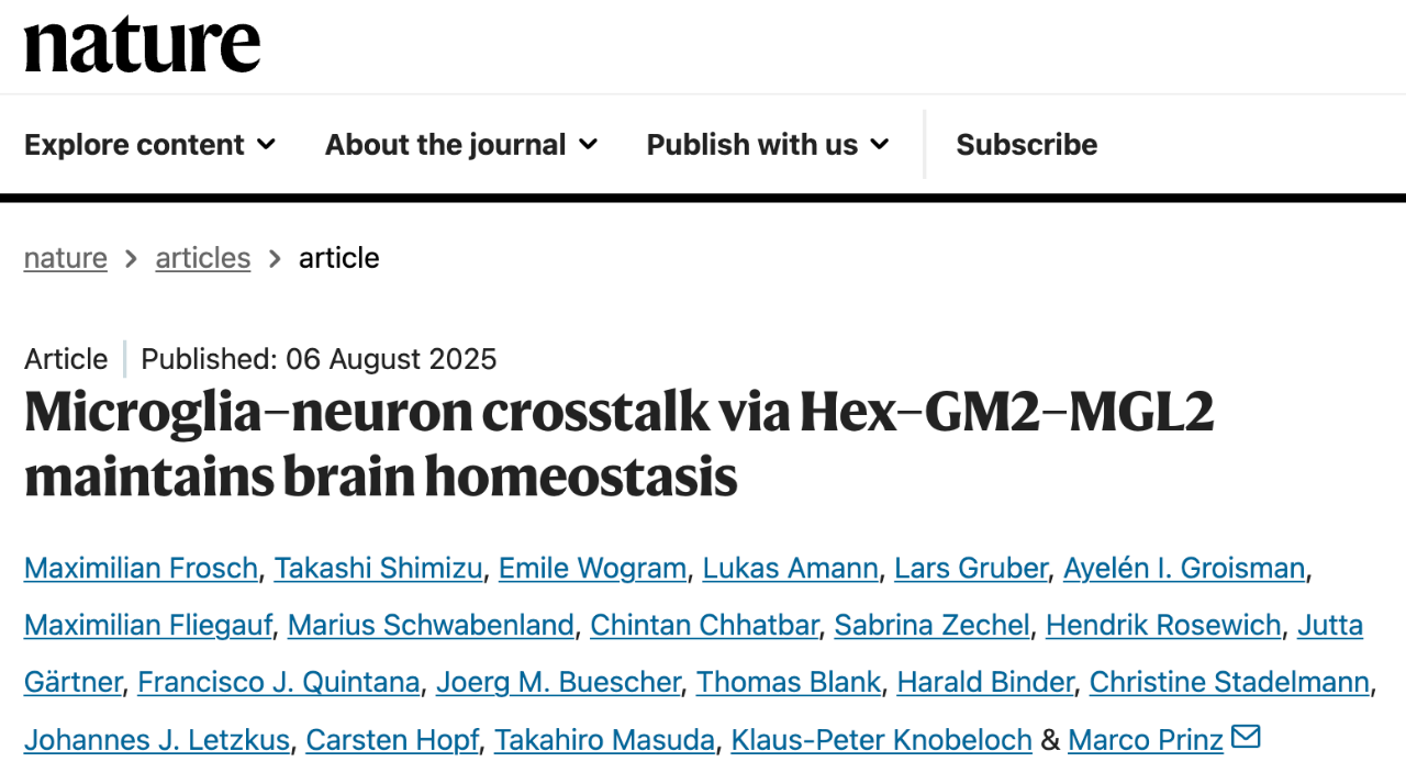 Nature 期刊同期背靠背發(fā)表了來自弗萊堡大學的題為：Microglia–neuron crosstalk via Hex–GM2–MGL2 maintains brain homeostasis 的研究論文。
