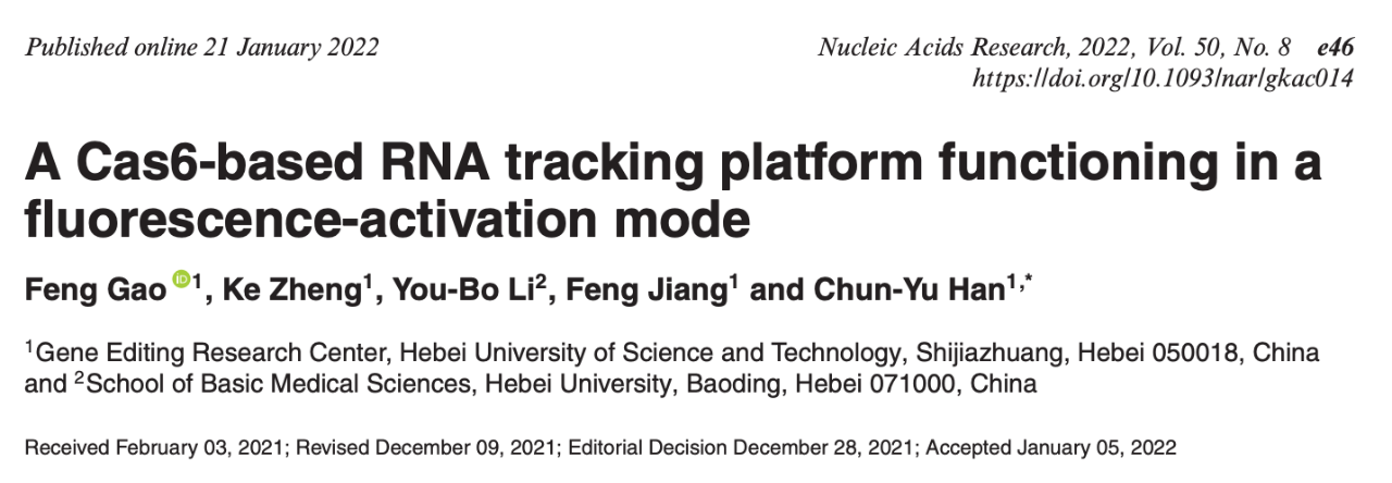 2022 年 1 月，韓春雨作為通訊作者，高峰作為第一作者，在 Nucleic Acids Research 期刊發(fā)表了一篇題為：A Cas6-based RNA tracking platform functioning in a fluorescence-activation mode 的最新研究論文。