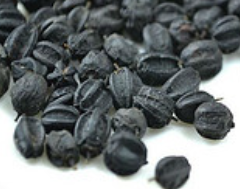 刺五加天然提取物