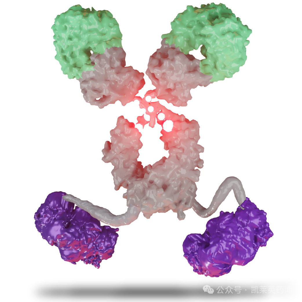 小分子毒素