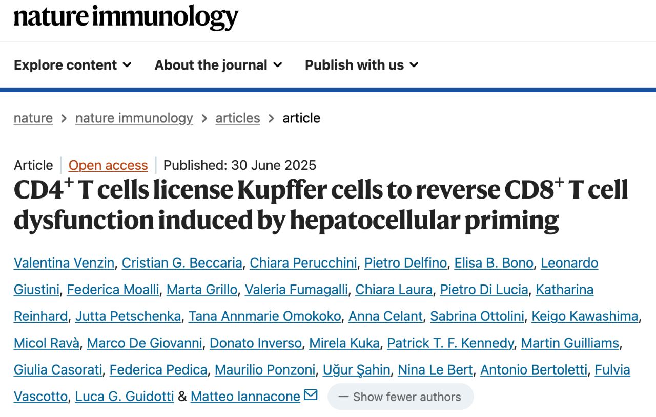 意大利圣拉斐爾科學(xué)研究中心的研究人員在 Nature 子刊 Nature Immunology 上發(fā)表了題為：CD4? T cells license Kupffer cells to reverse CD8? T cell dysfunction induced by hepatocellular priming 的研究論文。