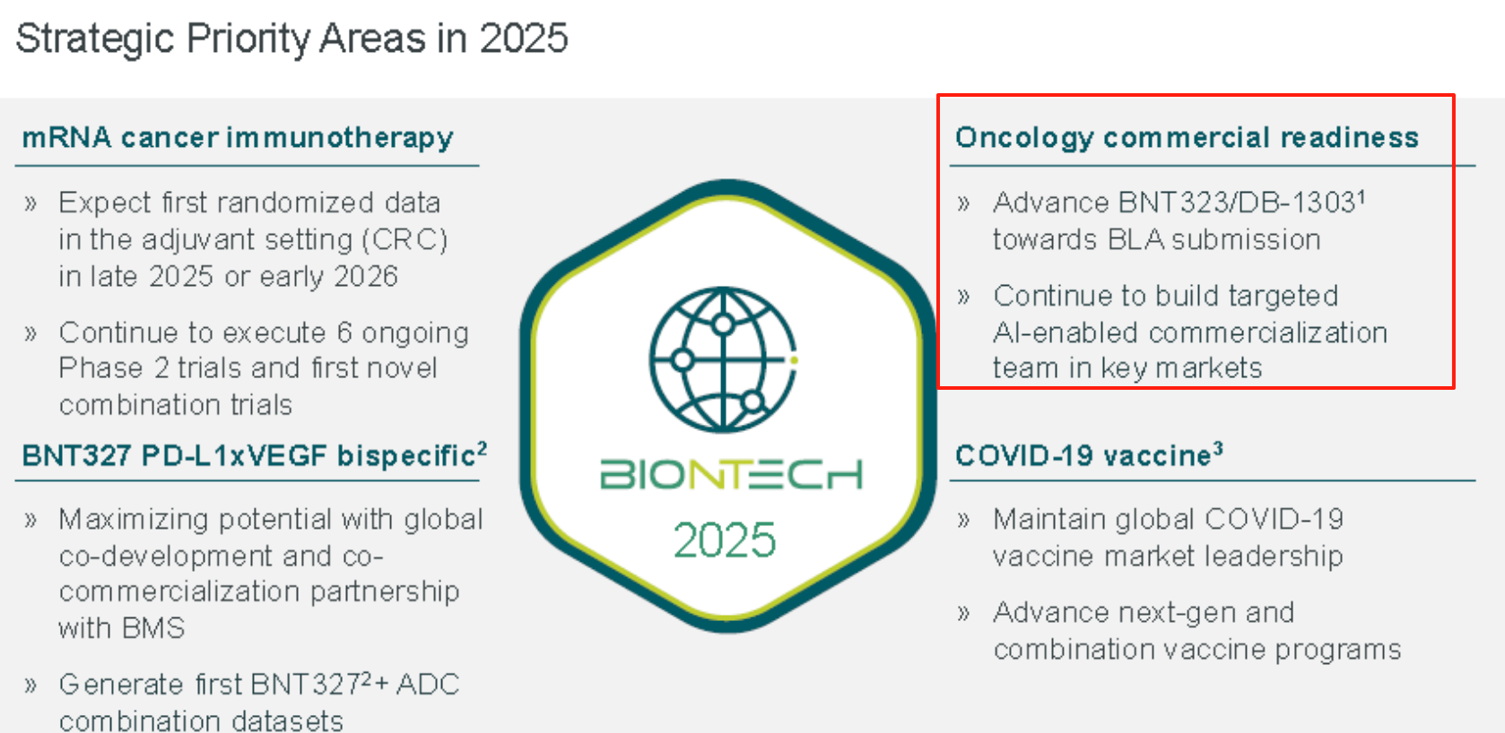 Strategic Prionity Areas in 2025
