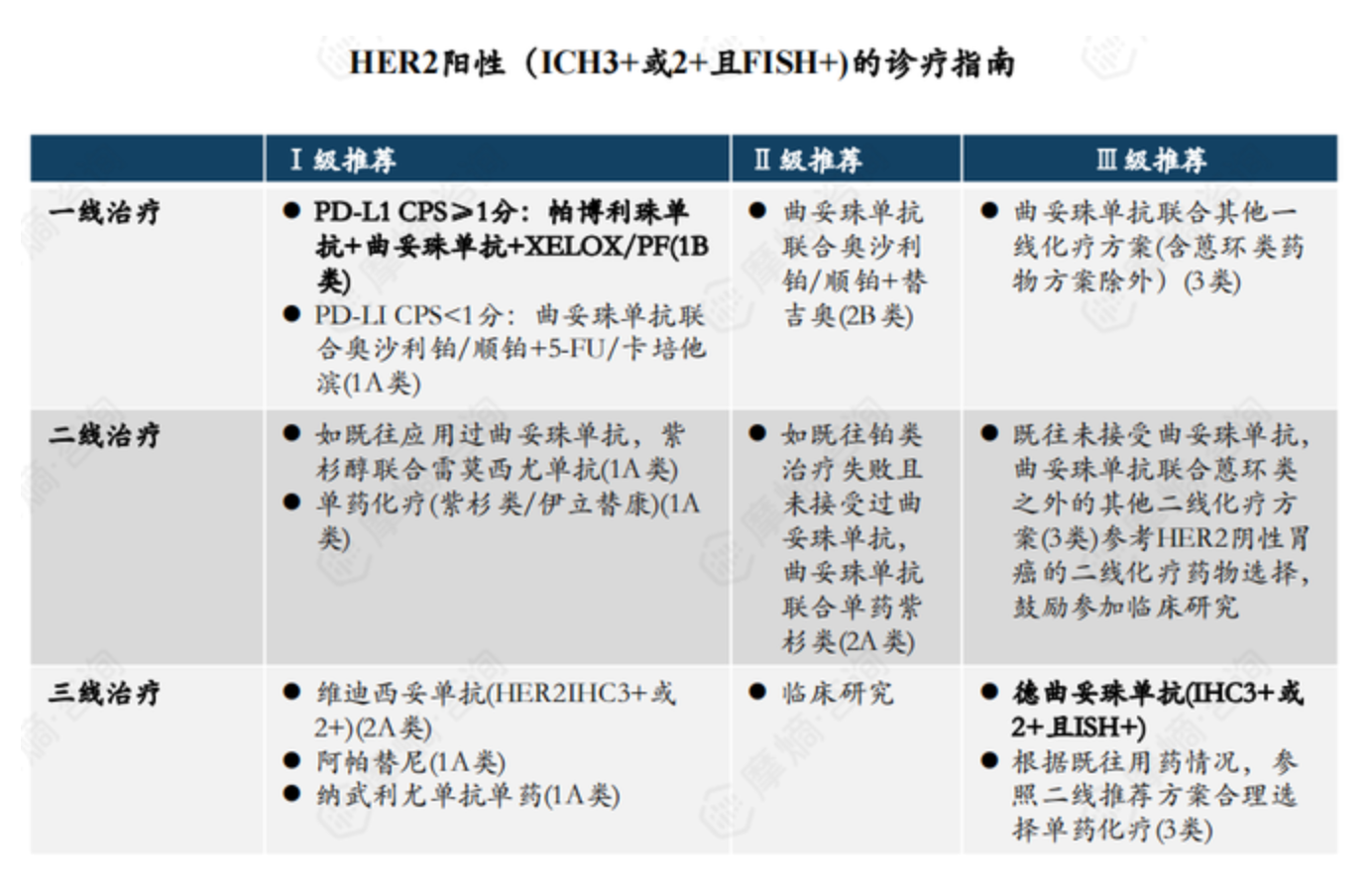 HER2陽(yáng)性(ICH3+或2+且FISH+)的診療指南