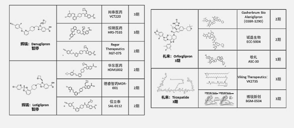禮來Orforglipron、輝瑞Lotiglipron和Danuglipron基礎(chǔ)上，通過加基團(tuán)或環(huán)化改造快速立項(xiàng)，突破專利