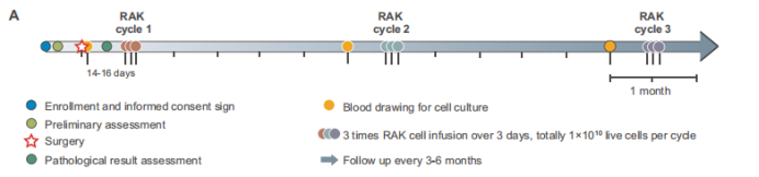 剖析自體RAK細(xì)胞注射液
