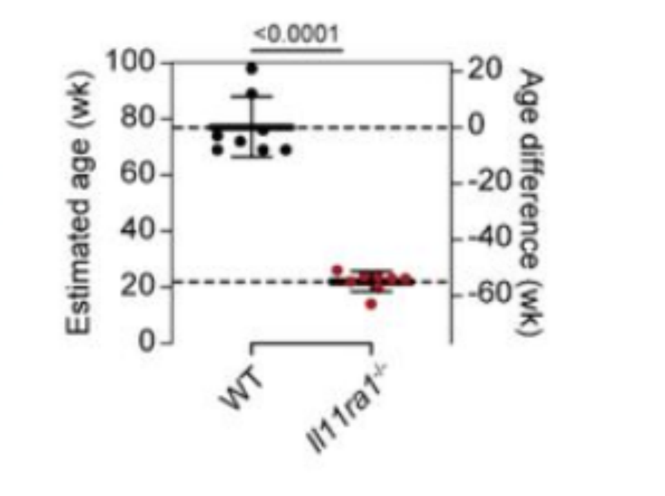 Inhibition of an immunometabolic axis of mTORC1 activation extends mammalian healthspan