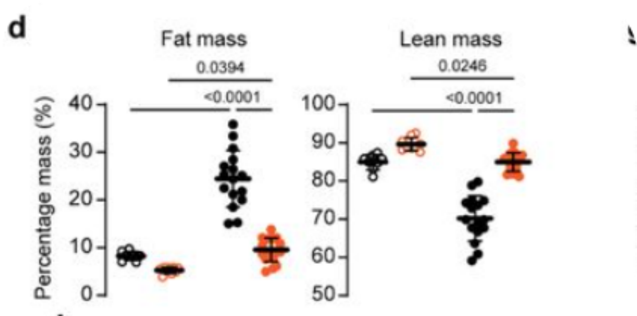 Inhibition of an immunometabolic axis of mTORC1 activation extends mammalian healthspan