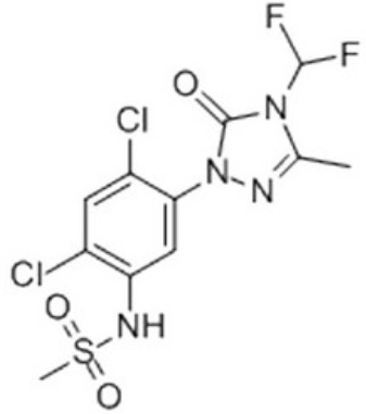 甲基磺酰甲胺