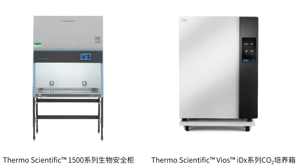 ThermoScientific? 1500系列生物安全柜 Thermo Scientificm Vios?iDx系列CO,培養(yǎng)箱