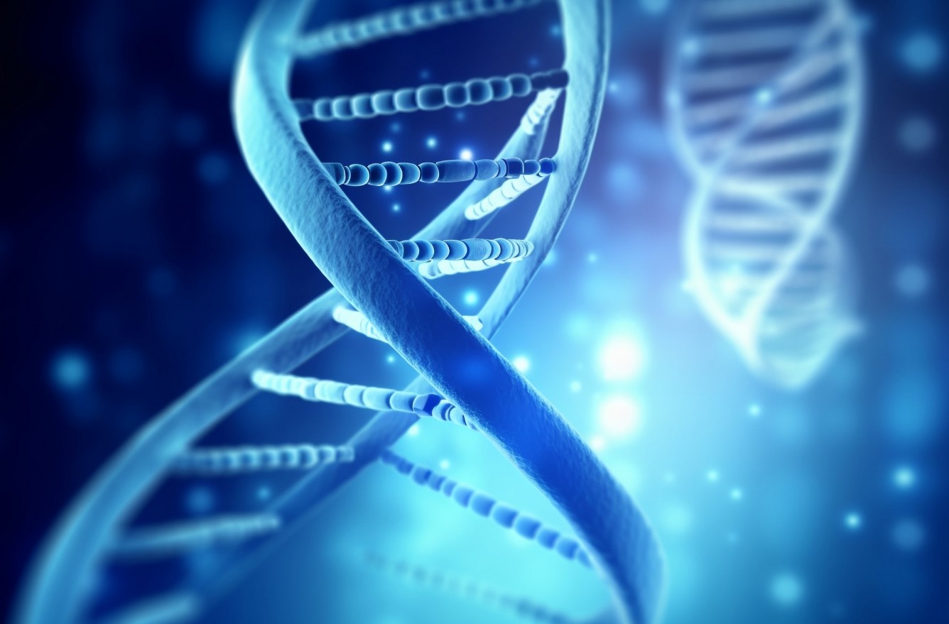 生物醫(yī)學新技術管理條例