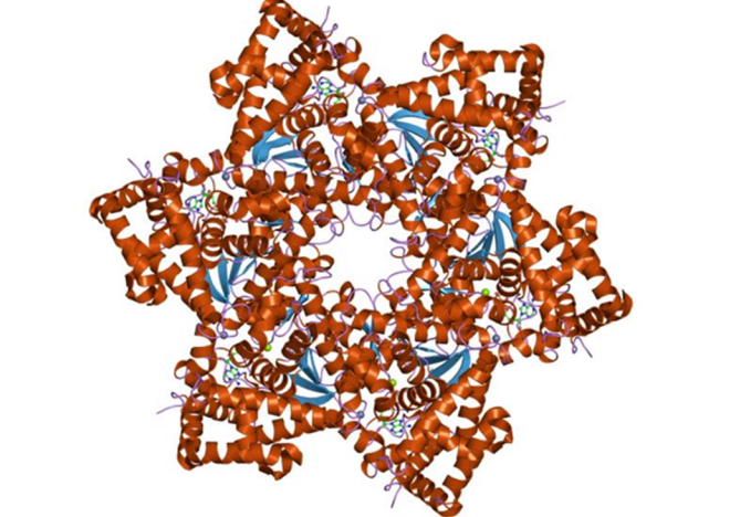 Gardasil組成結構